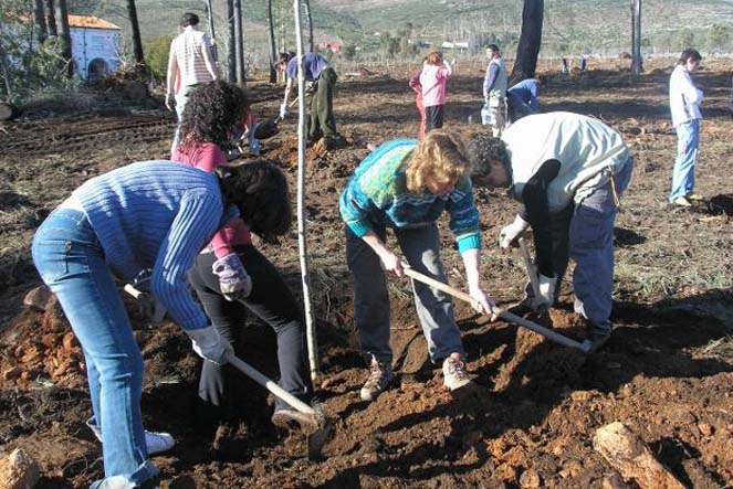 Proyecto de recuperación de espacios naturales
